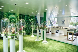 t mark 限时概念店落户贵阳 共享甜蜜暖意