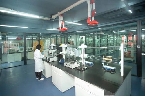 不忘初心,牢记使命 新跃莱集团远赴红安,开展庆祝建党100周年红色主题活动