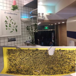 智慧点无人共享商店 食品工厂、餐厅酒店厨房与商场的全方位虫害防治经验分享